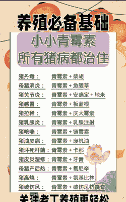 猪吃什么爱发病