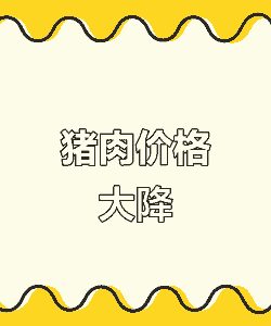 猪肉什么时候淡季