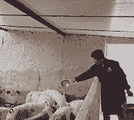 济南为什么禁止养猪