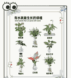 有什么种养好项目