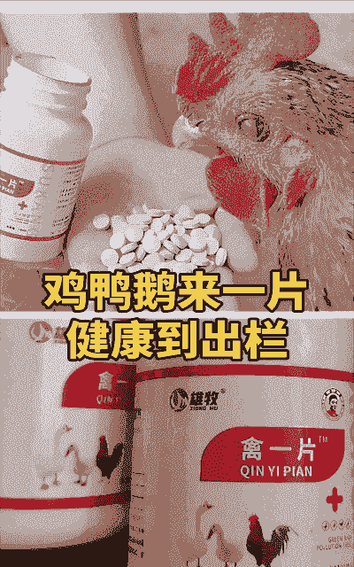 肉鸡怪叫喂什么药