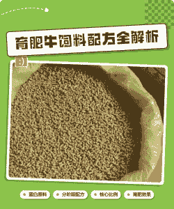 牛饲料是什么原料