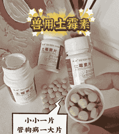 猪厌食打什么药