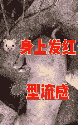 仔猪红什么原因