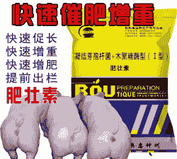 给猪催肥都有什么