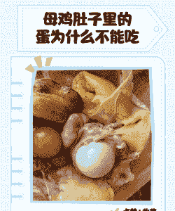 母鸡吃什么下蛋少