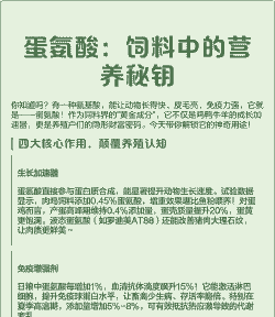 蛋氨酸属于什么饲料