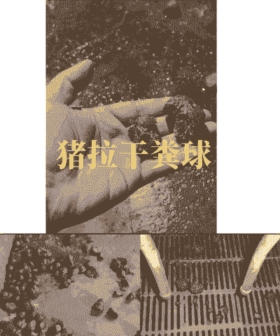 猪清粪便什么最好