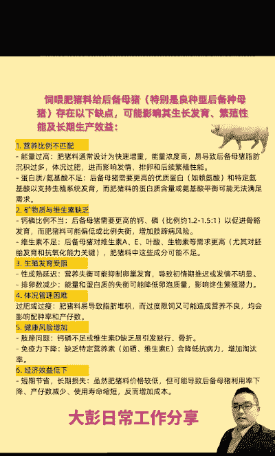 母猪要喂什么饲料
