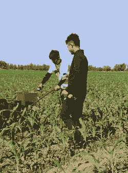 东北种地种什么赚钱