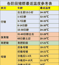 母猪正常产后温度