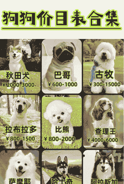 繁殖什么品种狗赚钱