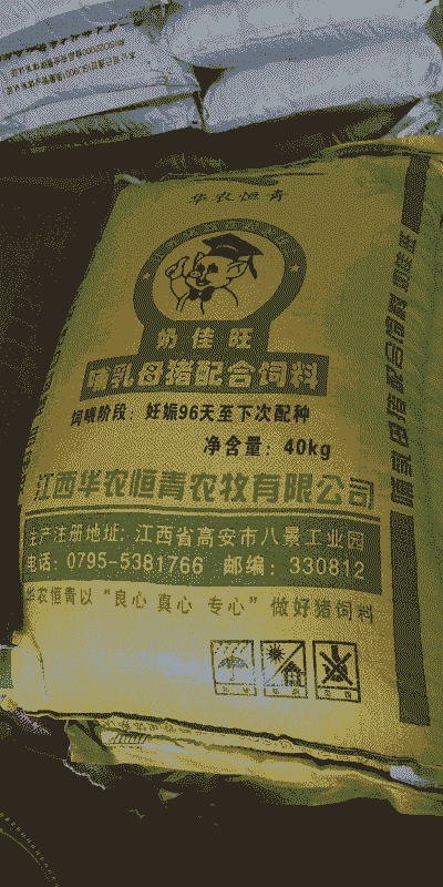 猪喜欢什么青饲料