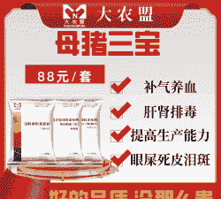 母猪保健用什么药物