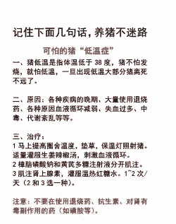 养猪低温什么原因