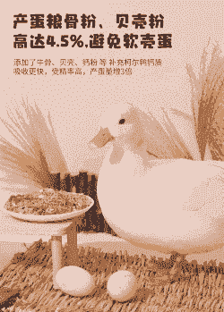 鸭子喂什么饲料好