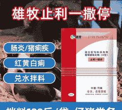 仔猪拉用什么药