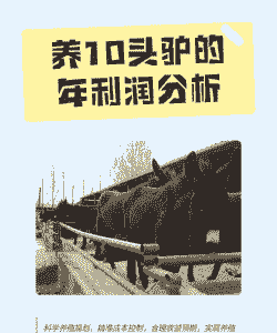 养什么驴利润高