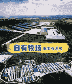 种羊场属于什么企业