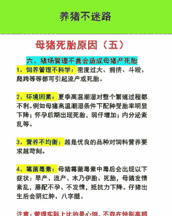 养猪的风险是什么