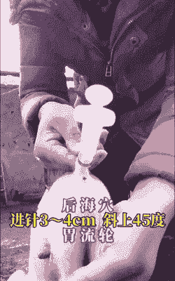 母猪呕吐打什么针