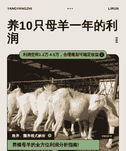 养什么动物利润大