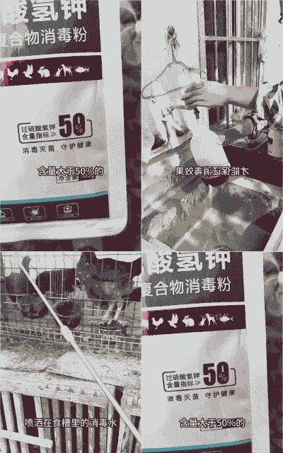 鸡舍用什么产品消毒