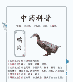 什么中药能肥家禽