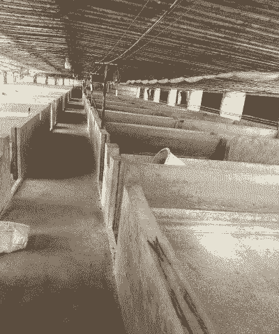 猪场需要什么设施