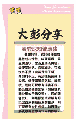 猪的健康看什么