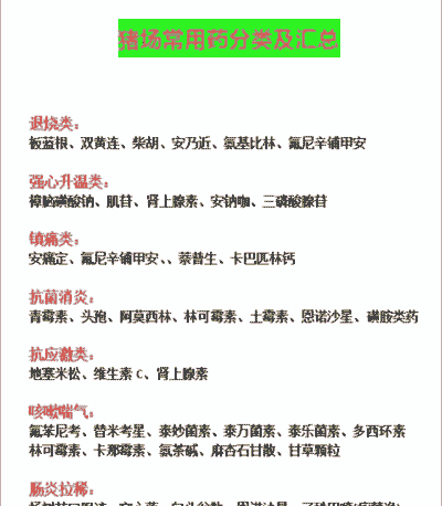 猪低烧吃什么药