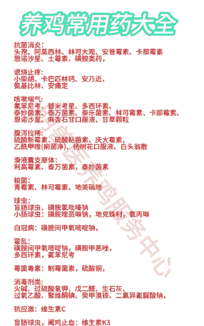 养鸡要常备什么药