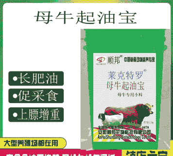 养牛饲料配什么油