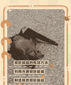 蝙蝠是以什么方式过冬