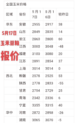 今年粮食什么价格走势