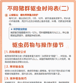 猪驱虫应该注意什么