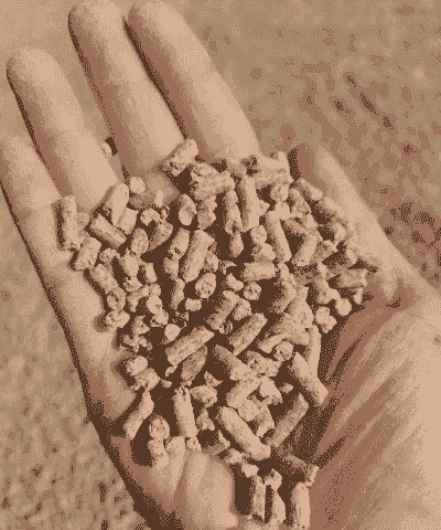 卖什么猪饲料好