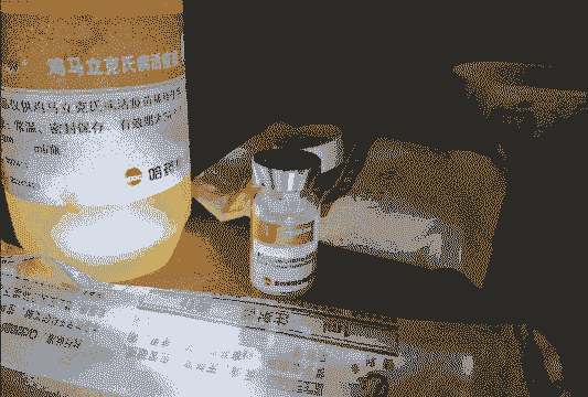 鸡疫苗要什么药