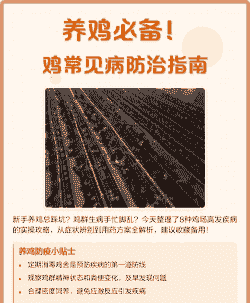 冬天鸡防治什么病