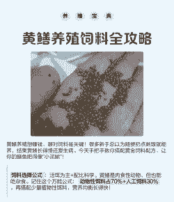 黄鳝养殖喂什么饲料