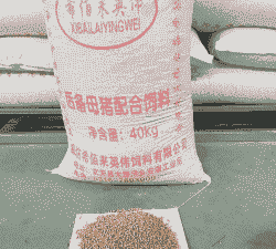 母猪用什么饲料好