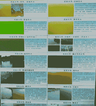 什么水色养殖白对虾