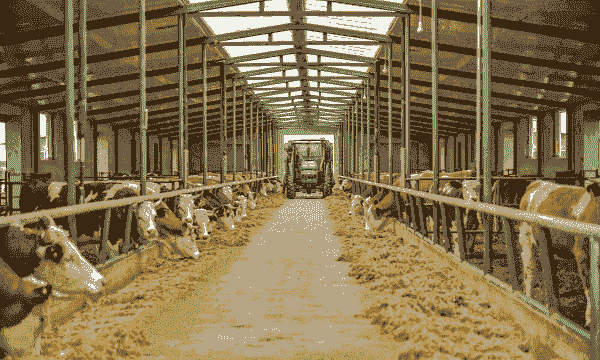 畜牧站是什么行业