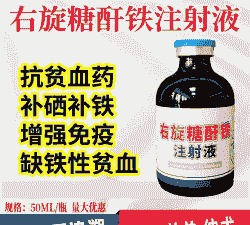 仔猪补血打什么针