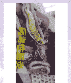 肉鸡病毒有什么特征