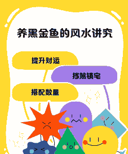 饲养黑金应该注意什么