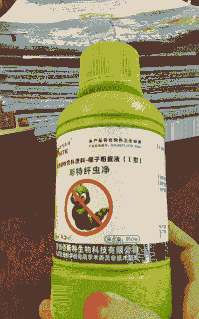 青虾长毛用什么消毒