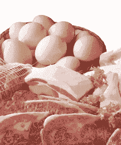 夏天吃什么畜类好