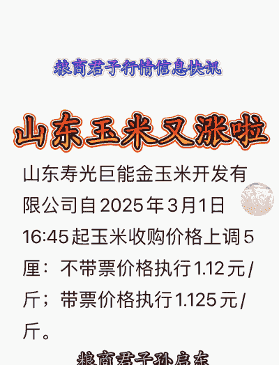 山东玉米最近什么价格