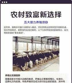 有什么养殖新项目